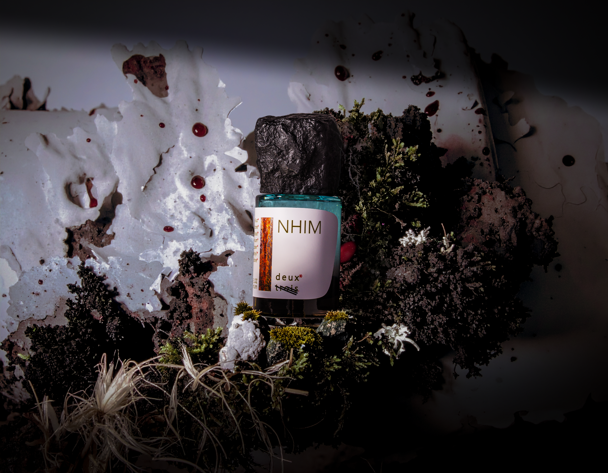 NHIM - Image 2