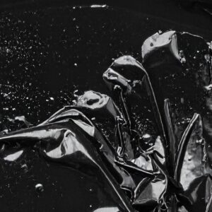 NIGHT RIDER (SAMPLE)