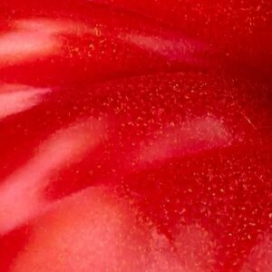 Acid TMT (SAMPLE)